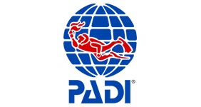 logo-Padi logo-Padi